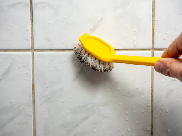 Best Mold Remediation  in Brushy, OK