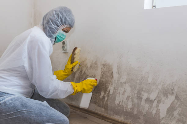 Best Water Damage Restoration  in Brushy, OK