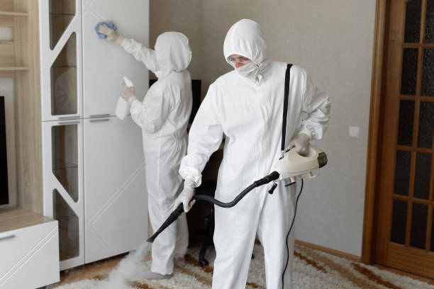 Best Mold Testing  in Brushy, OK