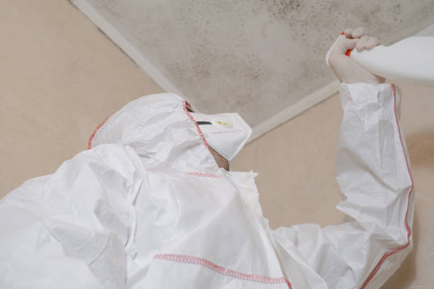 Water Damage Restoration in Brushy, OK